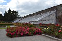 Besichtigung der Powerscourt Gardens