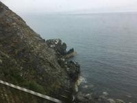 Fahrt mit dem DART-Zug von Greystones nach Dublin