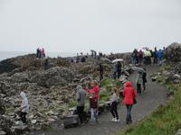  Giant`s Causeway
