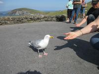   Sie fraß uns aus der Hand!