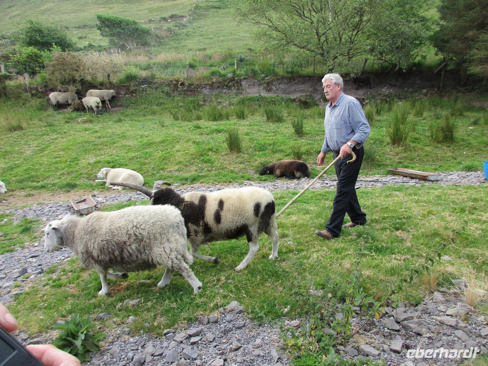  beim Schäfer