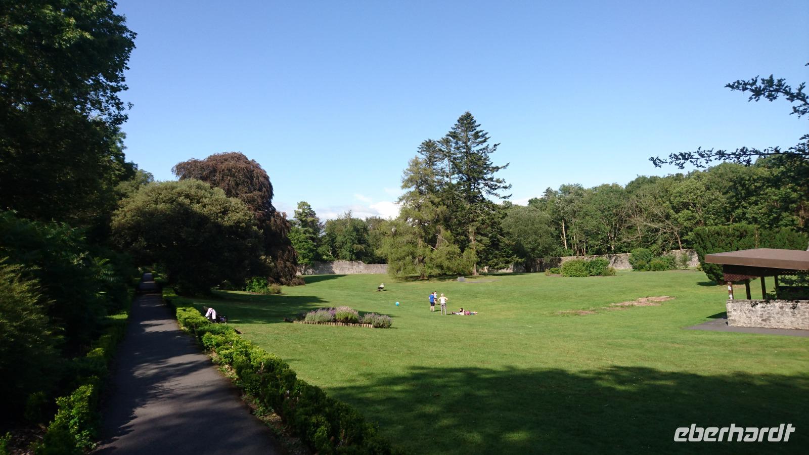 Unterwegs zum Unterschriftenbaum im Coole Park Gort