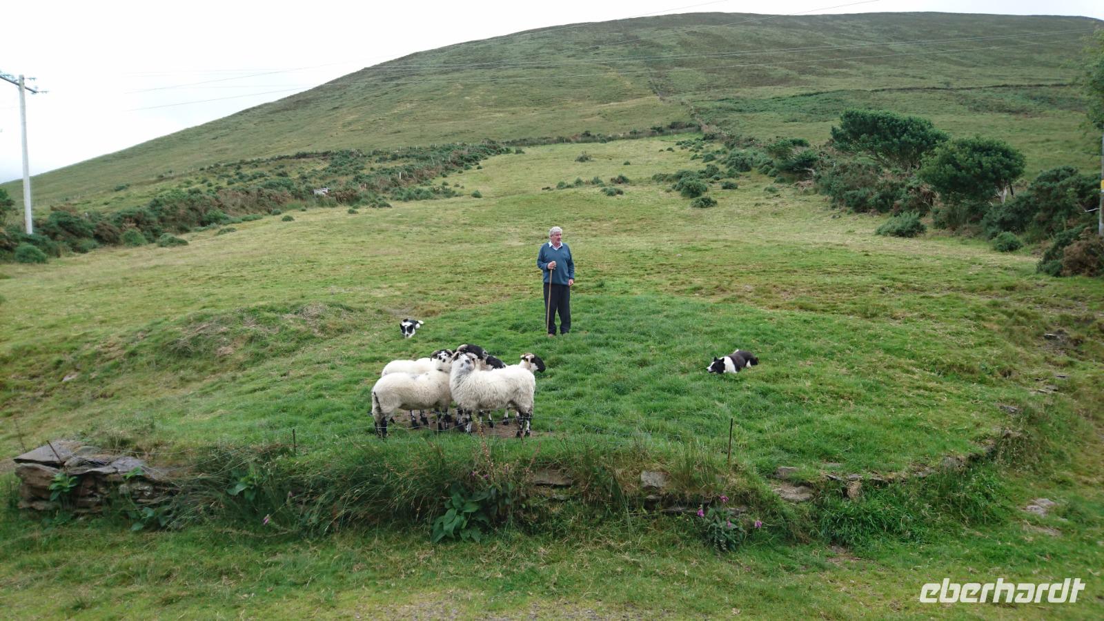 Familienfoto, alle glücklich