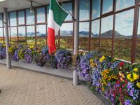 Blumenpracht am Maam Cross