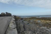 042-Inishmore_Seal-Bay