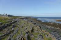 043-Inishmore_Seal-Bay