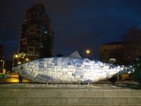 Belfast by night ( Salmon of knowledge )