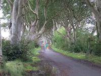 The Dark Hedges Experience - Northern Ireland