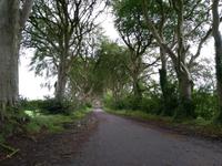 The Dark Hedges Experience - Northern Ireland