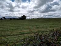 Megalithische Gräber in Carrowmore - Co. Sligo