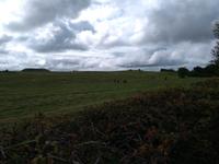 Megalithische Gräber in Carrowmore - Co. Sligo