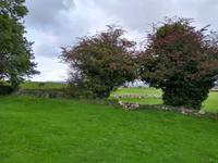 Megalithische Gräber in Carrowmore - Co. Sligo