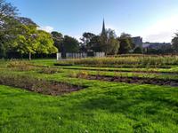 Rosengarten von Tralee