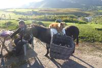 046-Iveragh-Peninsula