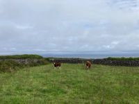 6. Tag – Wandern auf den Aran Islands