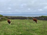 6. Tag – Wandern auf den Aran Islands