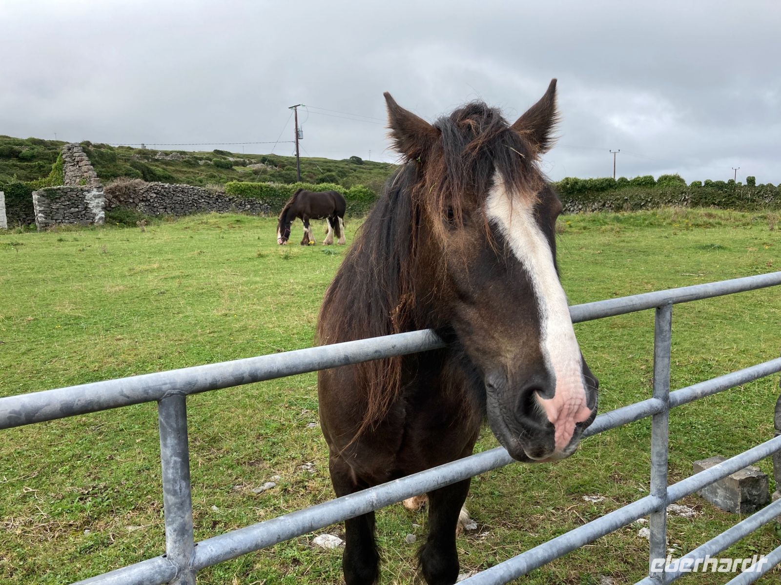 6. Tag – Wandern auf den Aran Islands