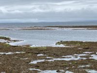 6. Tag – Wandern auf den Aran Islands – Robbenkolonie