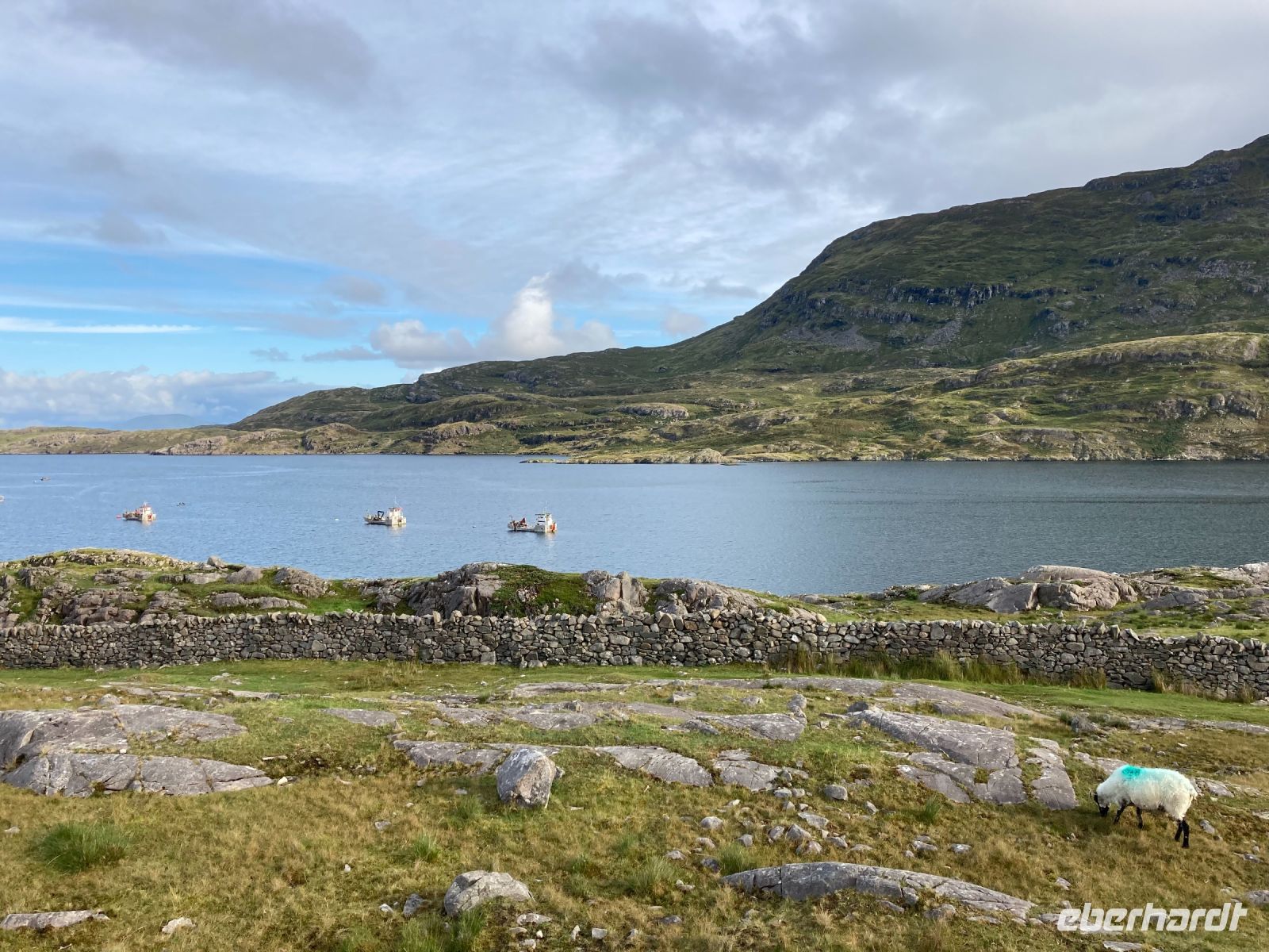 7. Tag – Fotostopp am Rosroe Pier