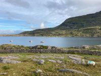 7. Tag – Fotostopp am Rosroe Pier