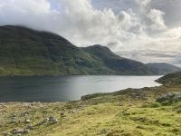 7. Tag – Fotostopp am Rosroe Pier