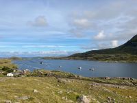 7. Tag – Fotostopp am Rosroe Pier