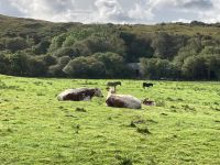 7. Tag – Wanderung auf den Diamond Hill im Connemara-Nationalpark
