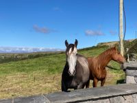 8. Tag – Wanderung im Burren