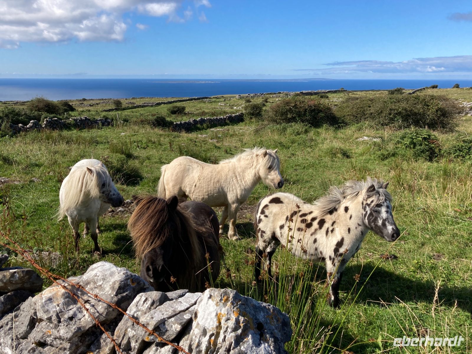 8. Tag – Wanderung im Burren