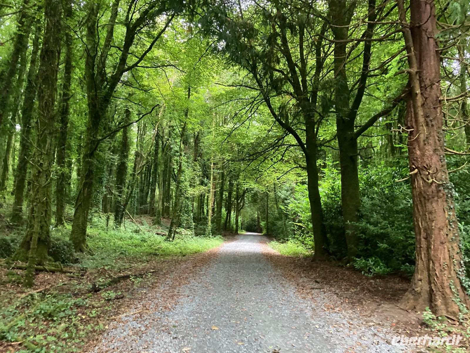 9. Tag – Spaziergang im Coole Park