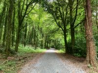 9. Tag – Spaziergang im Coole Park