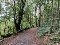 9. Tag – Spaziergang im Coole Park