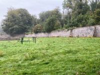 9. Tag – Spaziergang im Coole Park