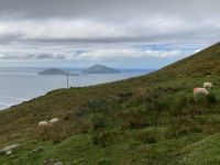 10. Tag – Ring of Kerry – Blick vom Coomakista Pass