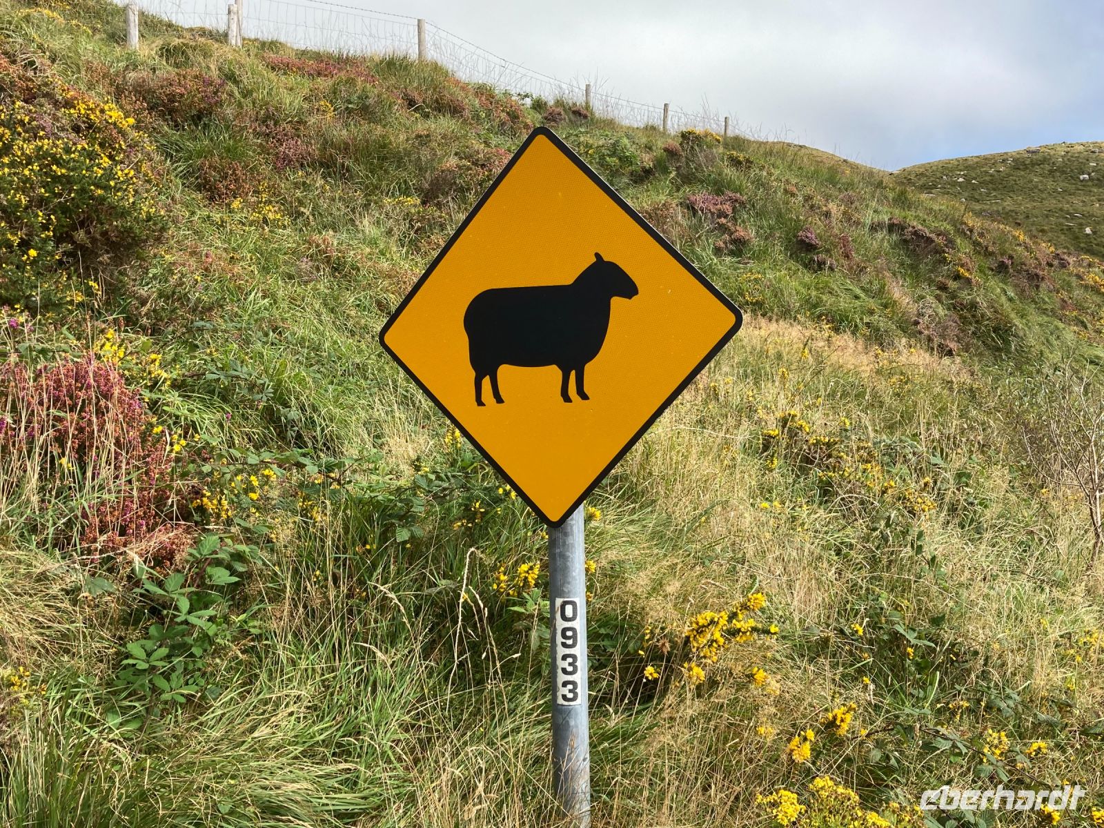 10. Tag – Ring of Kerry – Wanderung zum Derrynane House