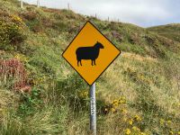10. Tag – Ring of Kerry – Wanderung zum Derrynane House