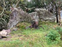 10. Tag – Ring of Kerry – Fotostopp am Ladies’ View
