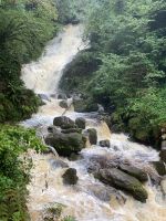 10. Tag – Ring of Kerry – Torc Waterfall