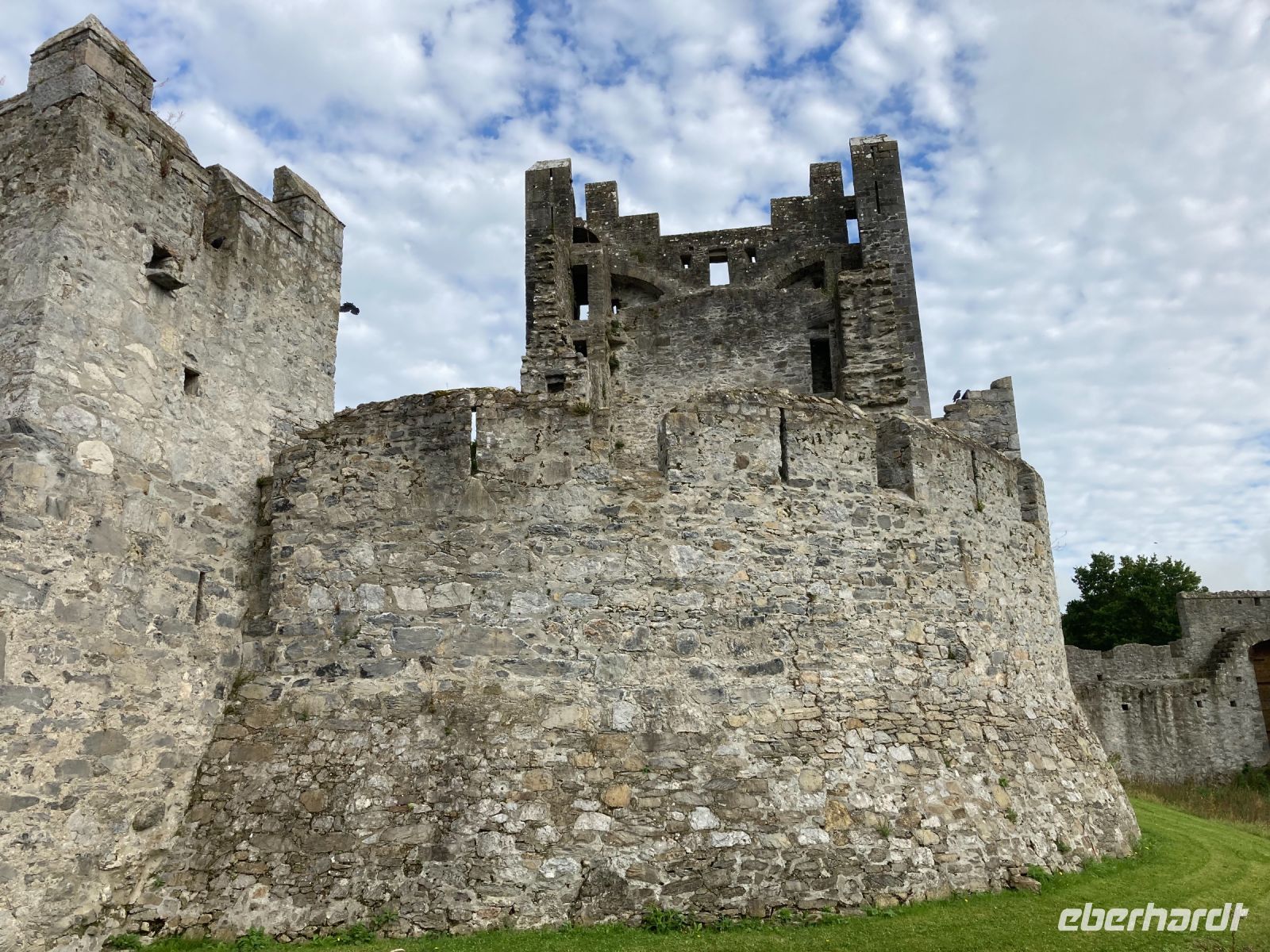 11. Tag – Adare – Desmond Castle