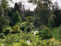 12. Tag – Powerscourt Gardens