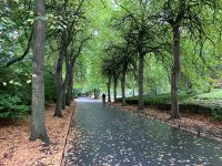 13. Tag – Ein letzter Bummel durch Dublin