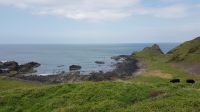 Giants Causeway