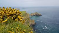 Carrick-a-Rede Rope Bridge
