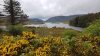 Glenveagh