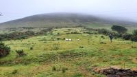 199 – Irland, Ring of Kerry, Schaffarm