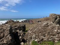2. Tag – Am Giant’s Causeway