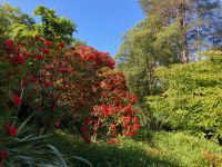 3. Tag – Glenveagh-Nationalpark