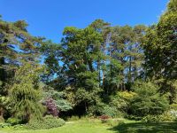 3. Tag – Glenveagh-Nationalpark