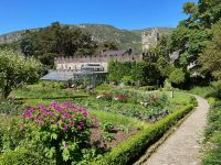 3. Tag – Glenveagh-Nationalpark