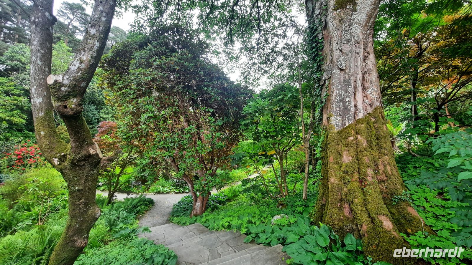 019 – Irland, Glenveagh Nationalpark